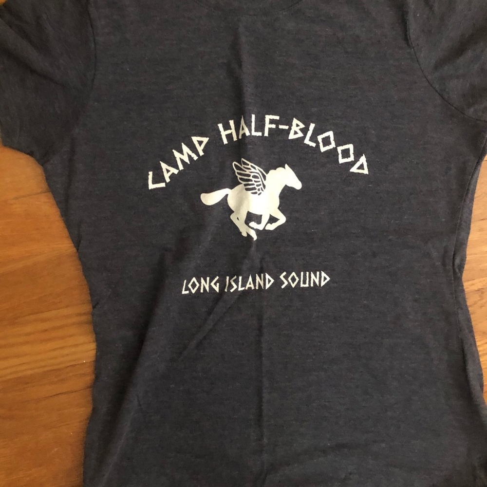 Ladies V-Neck Tee